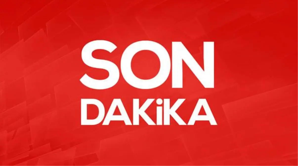 cumhurbaskani erdogan ali mahir basarira 250 bin tllik tazminat davasi 7kIZhCFy.jpg